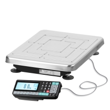 Весы напольные TB-S-200.2-RA1